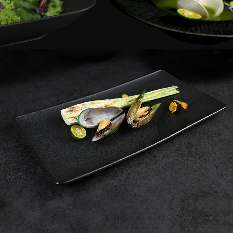 Placa de porcelana retangular com novo design Matt Frosting Black Restaurant Plate