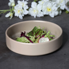 Prato de jantar de porcelana de hotel para serviço de catering