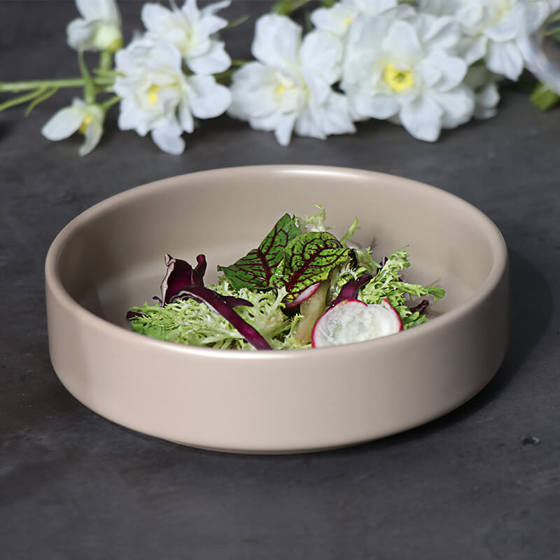 Prato de jantar de porcelana de hotel para serviço de catering