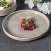 Prato de jantar de porcelana de hotel para serviço de catering
