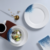 Conjunto de talheres de porcelana para hotel, conjunto de pratos para massas e frutos do mar, prato de vieiras, conjunto de louça para restaurante