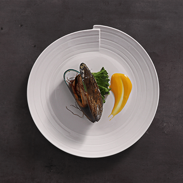 Conjunto de pratos e pratos para cozinha com ondas brancas para hotel