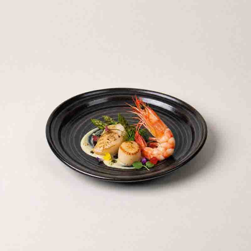 Fabricante de talheres de porcelana estilo restaurante por atacado